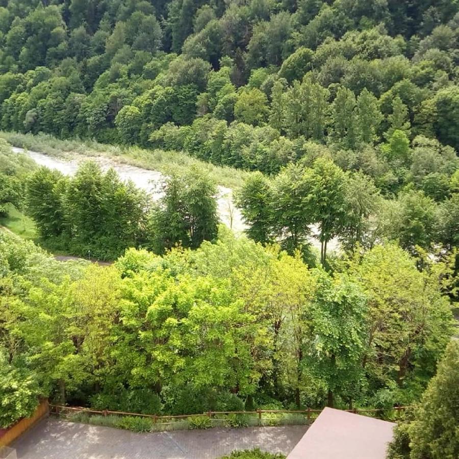 Malyvo Hotel Dilyatyn Εξωτερικό φωτογραφία